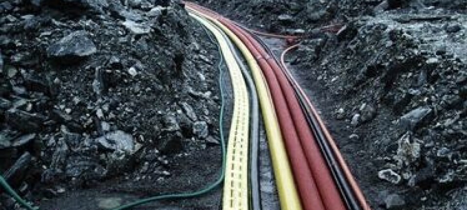 Beskjeden fibervekst i 2025