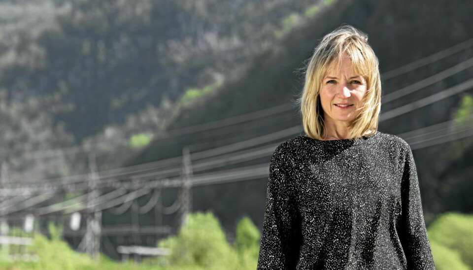 Jannicke Hilland kommer fra kraftbransjen til Telenor - nå forener hun energi og tele.
