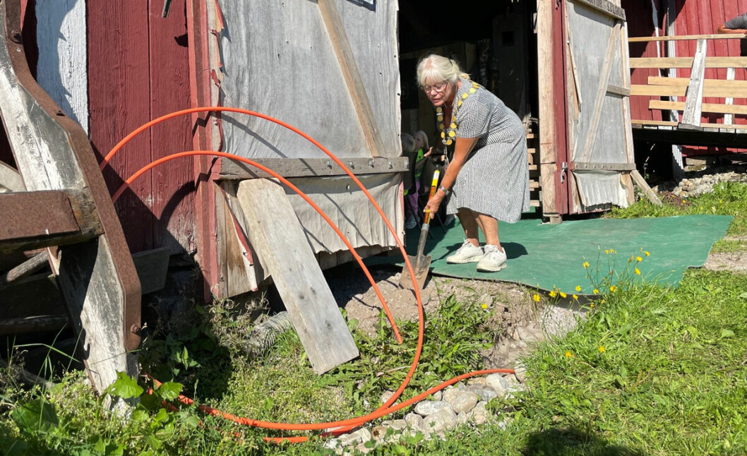 Ordfører Anne-Kari Holm (Sp) i Halden kommune tar et ekstra spadetak for fiber til Enningdalen.