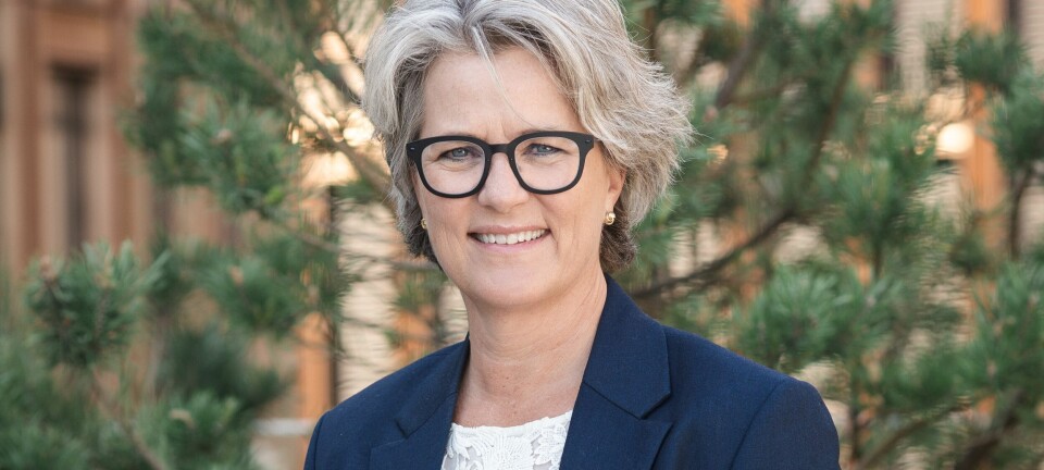 Etterlyser sterkere nordisk beredskap