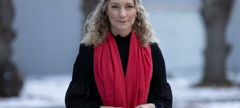 Politikk-løfter og mål