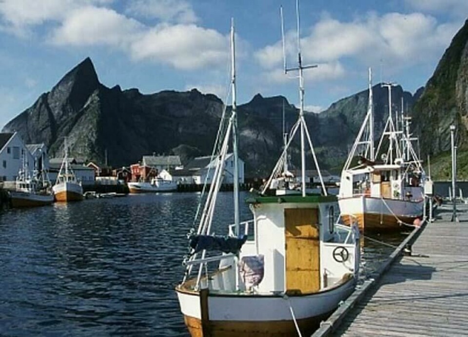 Lofoten er ikke bare rik på fisk, Norges vakreste fjell og turister. Regionen er også fiberrik.